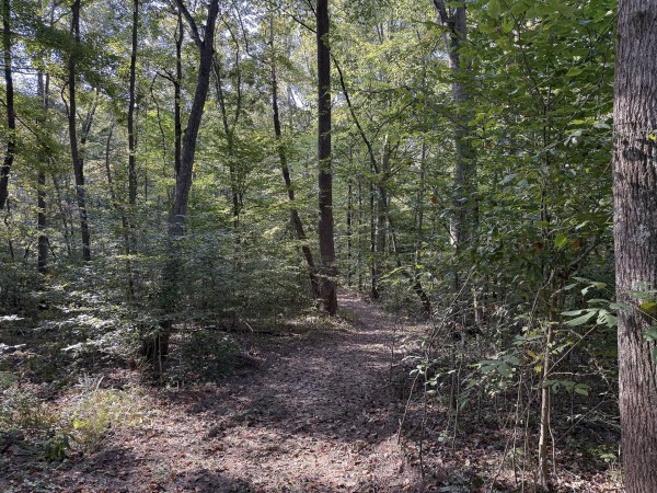 Tract 4 at Wolf Hill Estates property photo
