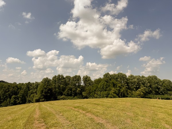 Tract 4 at Wolf Hill Estates property photo