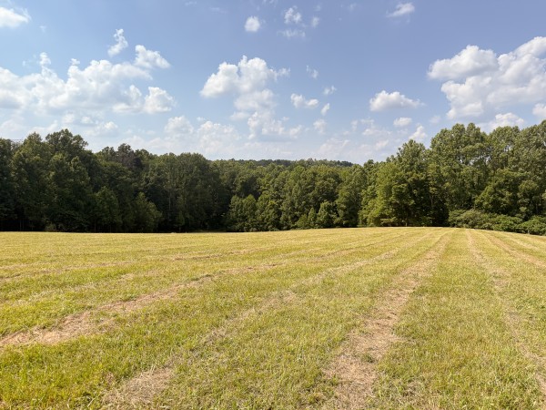 Tract 4 at Wolf Hill Estates property photo