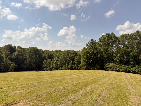 Tract 4 at Wolf Hill Estates property photo