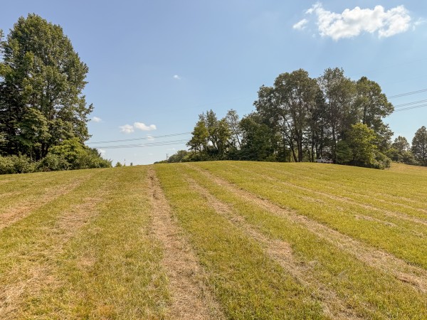 Tract 4 at Wolf Hill Estates property photo