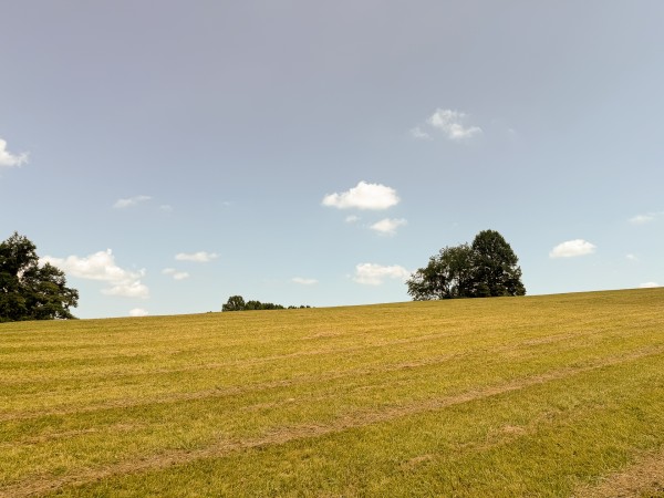 Tract 4 at Wolf Hill Estates property photo