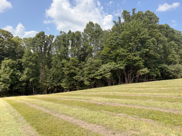 Tract 4 at Wolf Hill Estates property photo