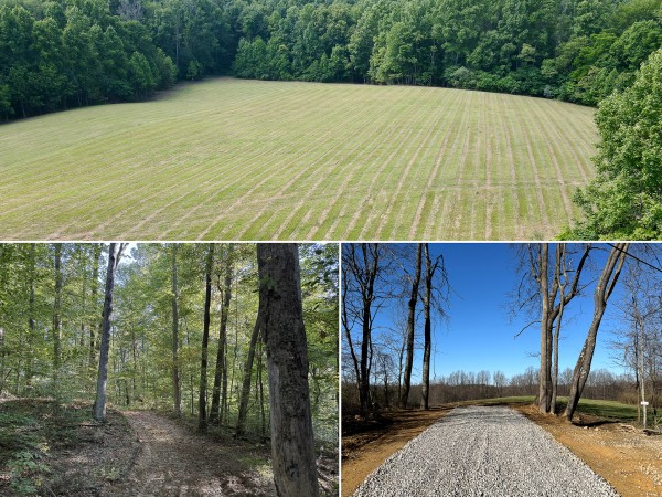 Tract 4 at Wolf Hill Estates property photo
