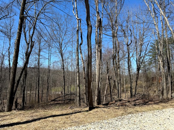 Lot 5 - The Woods at Turkey Run With Creek property photo