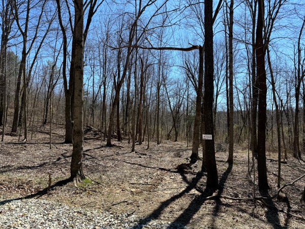 Lot 5 - The Woods at Turkey Run With Creek property photo