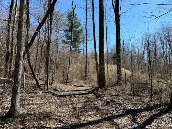 Lot 5 - The Woods at Turkey Run With Creek property photo