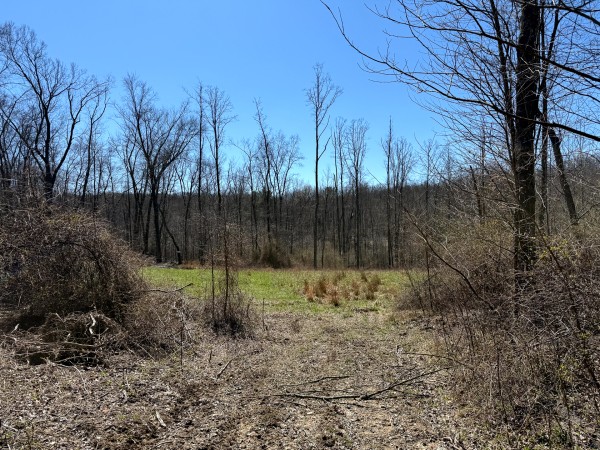 Lot 5 - The Woods at Turkey Run With Creek property photo