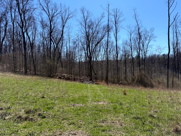 Lot 5 - The Woods at Turkey Run With Creek property photo