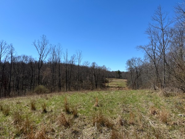 Lot 5 - The Woods at Turkey Run With Creek property photo