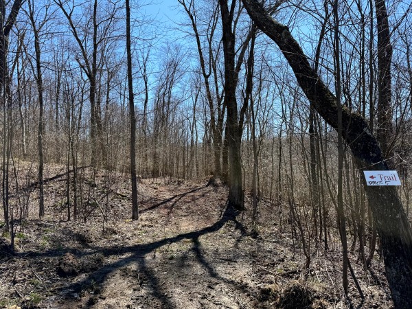 Lot 5 - The Woods at Turkey Run With Creek property photo