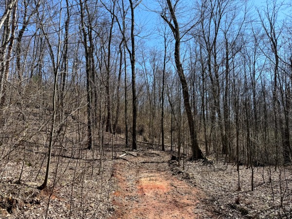 Lot 5 - The Woods at Turkey Run With Creek property photo