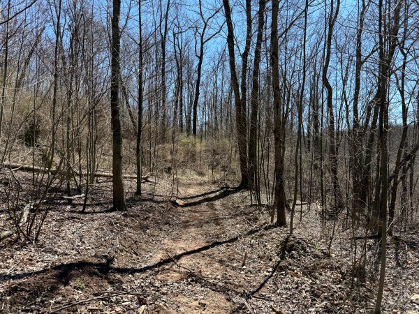 Lot 5 - The Woods at Turkey Run With Creek property photo