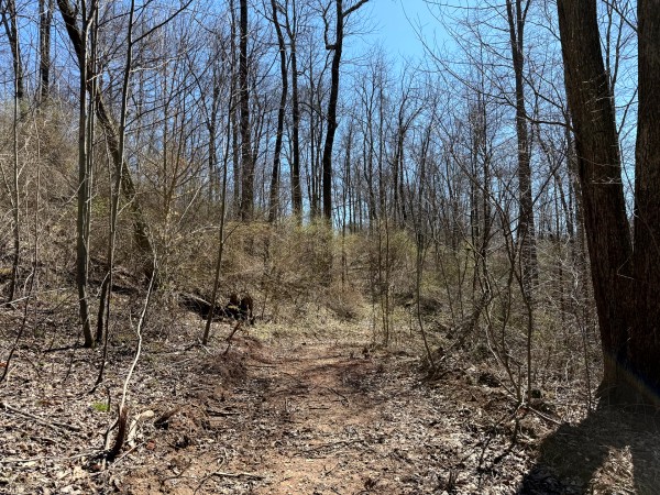Lot 5 - The Woods at Turkey Run With Creek property photo