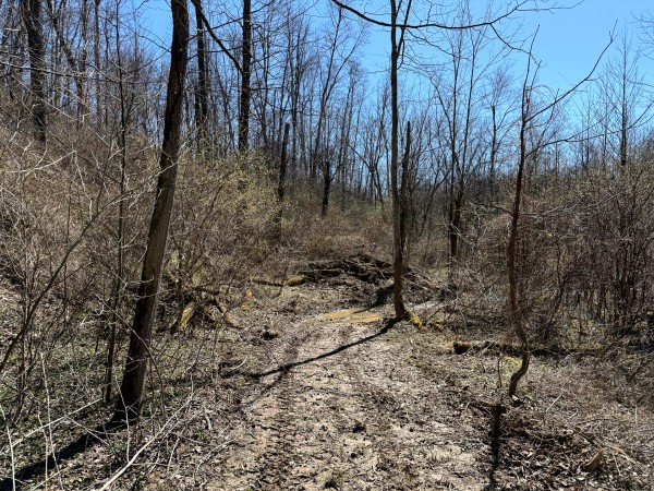 Lot 5 - The Woods at Turkey Run With Creek property photo