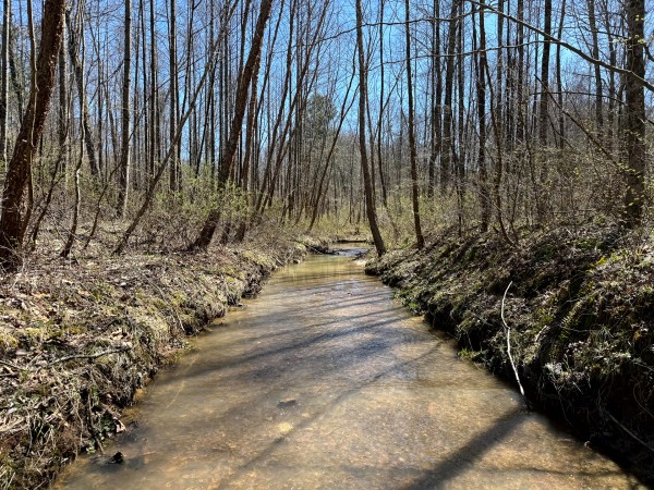 Lot 5 - The Woods at Turkey Run With Creek property photo