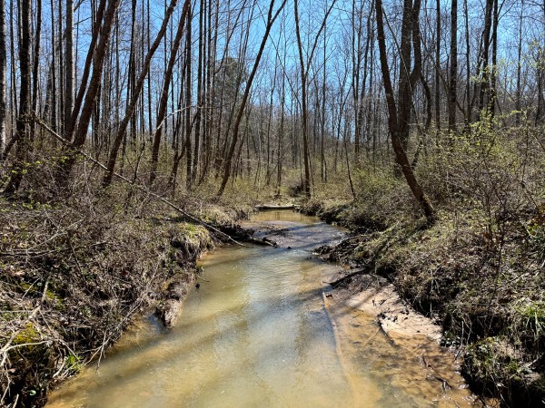 Lot 5 - The Woods at Turkey Run With Creek property photo