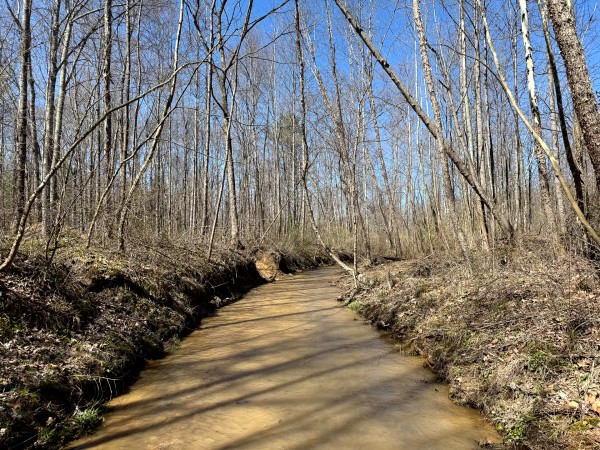 Lot 5 - The Woods at Turkey Run With Creek property photo