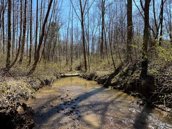 Lot 5 - The Woods at Turkey Run With Creek property photo