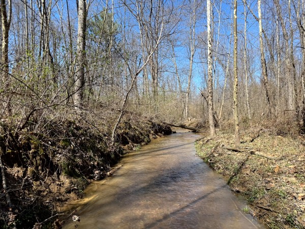 Lot 5 - The Woods at Turkey Run With Creek property photo