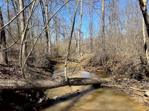 Lot 5 - The Woods at Turkey Run With Creek property photo