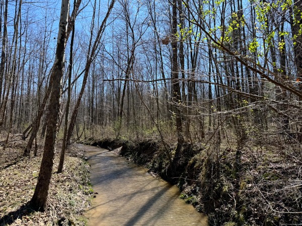 Lot 5 - The Woods at Turkey Run With Creek property photo