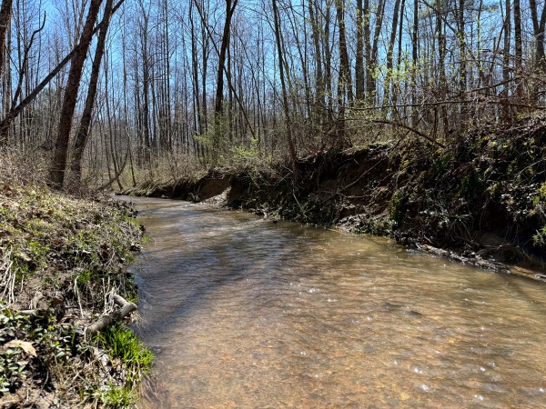 Lot 5 - The Woods at Turkey Run With Creek property photo