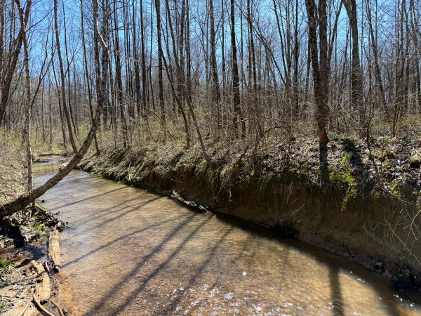 Lot 5 - The Woods at Turkey Run With Creek property photo