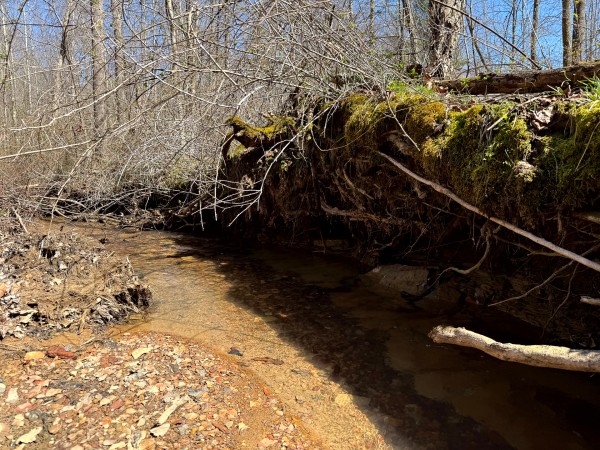 Lot 5 - The Woods at Turkey Run With Creek property photo