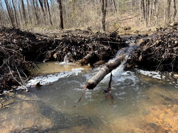 Lot 5 - The Woods at Turkey Run With Creek property photo
