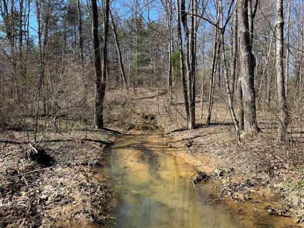 Lot 5 - The Woods at Turkey Run With Creek property photo