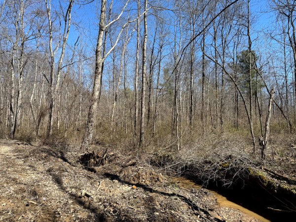 Lot 5 - The Woods at Turkey Run With Creek property photo