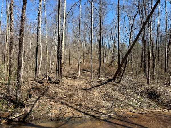 Lot 5 - The Woods at Turkey Run With Creek property photo