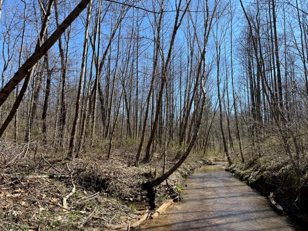 Lot 5 - The Woods at Turkey Run With Creek property photo