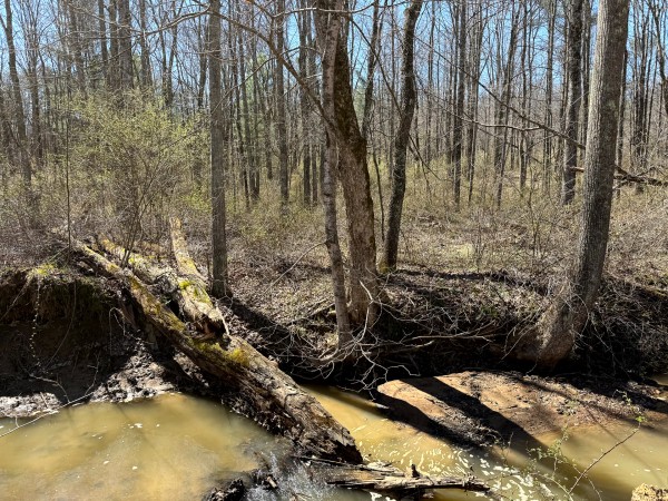 Lot 5 - The Woods at Turkey Run With Creek property photo