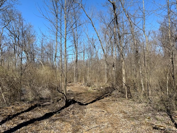Lot 5 - The Woods at Turkey Run With Creek property photo