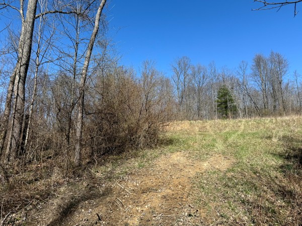 Lot 5 - The Woods at Turkey Run With Creek property photo