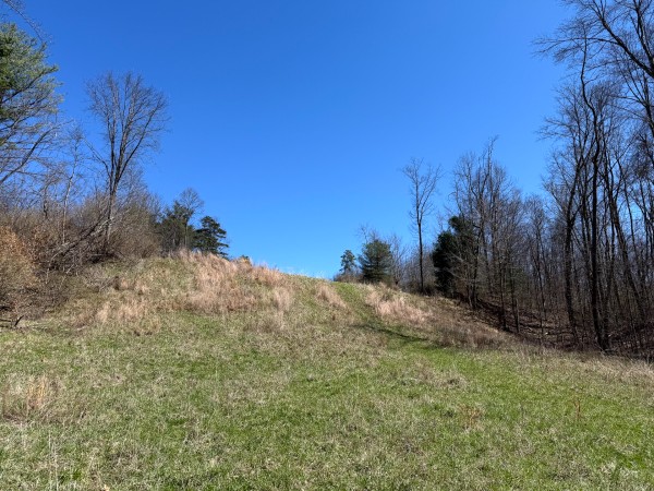 Lot 5 - The Woods at Turkey Run With Creek property photo