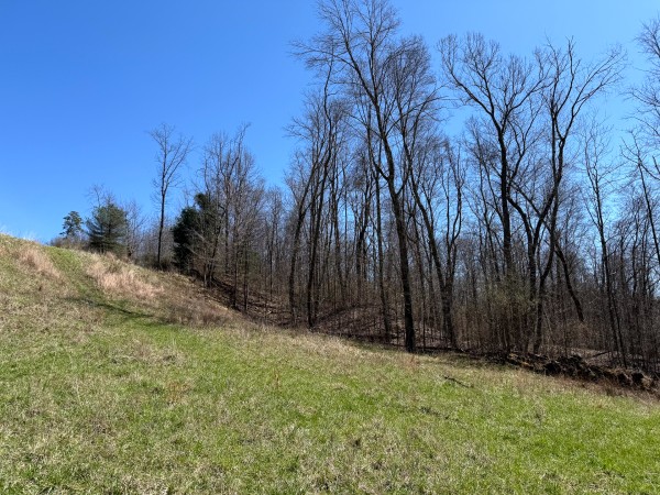Lot 5 - The Woods at Turkey Run With Creek property photo