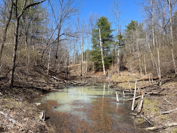 Lot 5 - The Woods at Turkey Run With Creek property photo