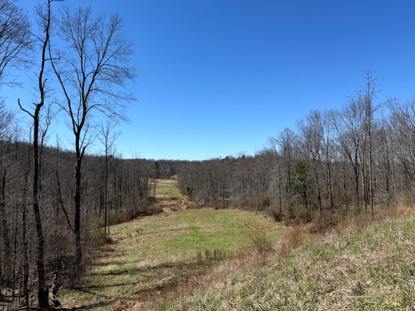 Lot 5 - The Woods at Turkey Run With Creek property photo