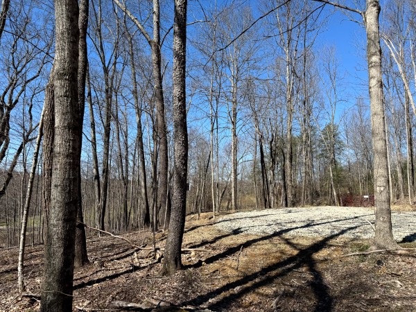 Lot 5 - The Woods at Turkey Run With Creek property photo