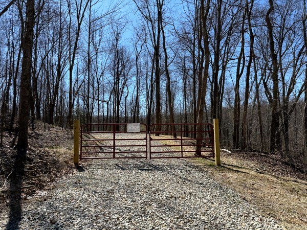 More of Lot 5 - The Woods at Turkey Run With Creek