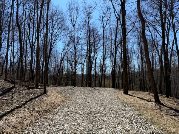 Lot 5 - The Woods at Turkey Run With Creek property photo