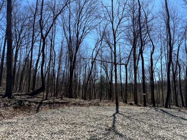 Lot 5 - The Woods at Turkey Run With Creek property photo