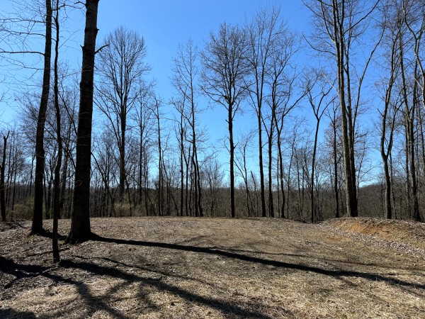 Lot 6 - The Woods at Turkey Run With Creek property photo