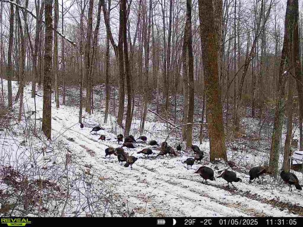 Lot 6 - The Woods at Turkey Run With Creek property photo