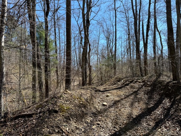 Lot 6 - The Woods at Turkey Run With Creek property photo