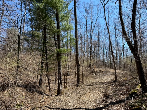 Lot 6 - The Woods at Turkey Run With Creek property photo