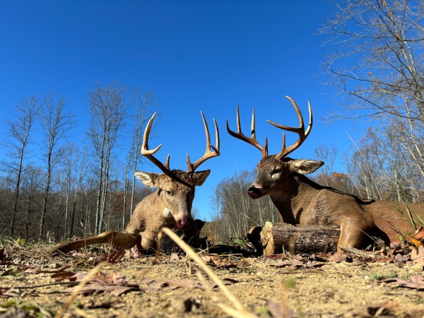 Lot 6 - The Woods at Turkey Run With Creek property photo